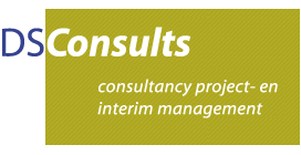 DSConsult